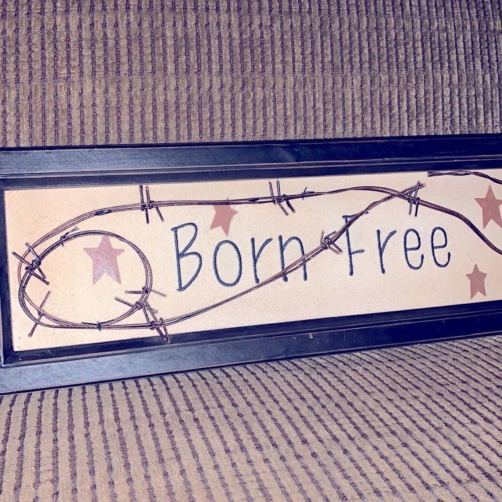 RUSTIC FARMHOUSE PATRIOTIC BARBED WIRE FRAMED ART 18.5” X 6”‎